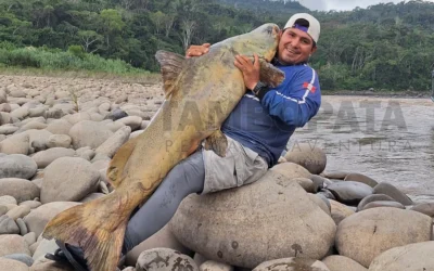 La pesca del piro en el Perú: tradición y biodiversidad amazónica